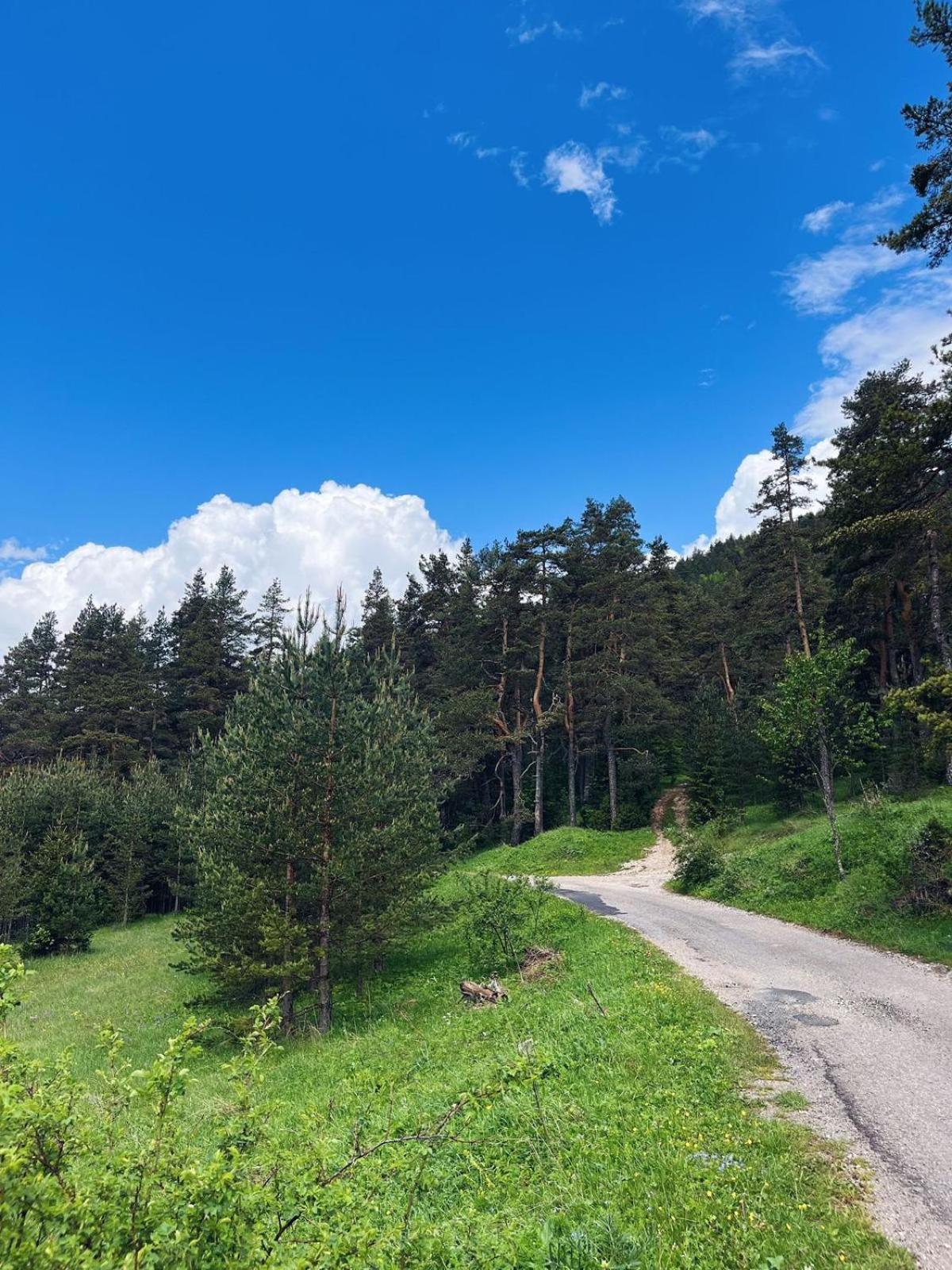 Zminica Lake House Žabljak Exterior foto
